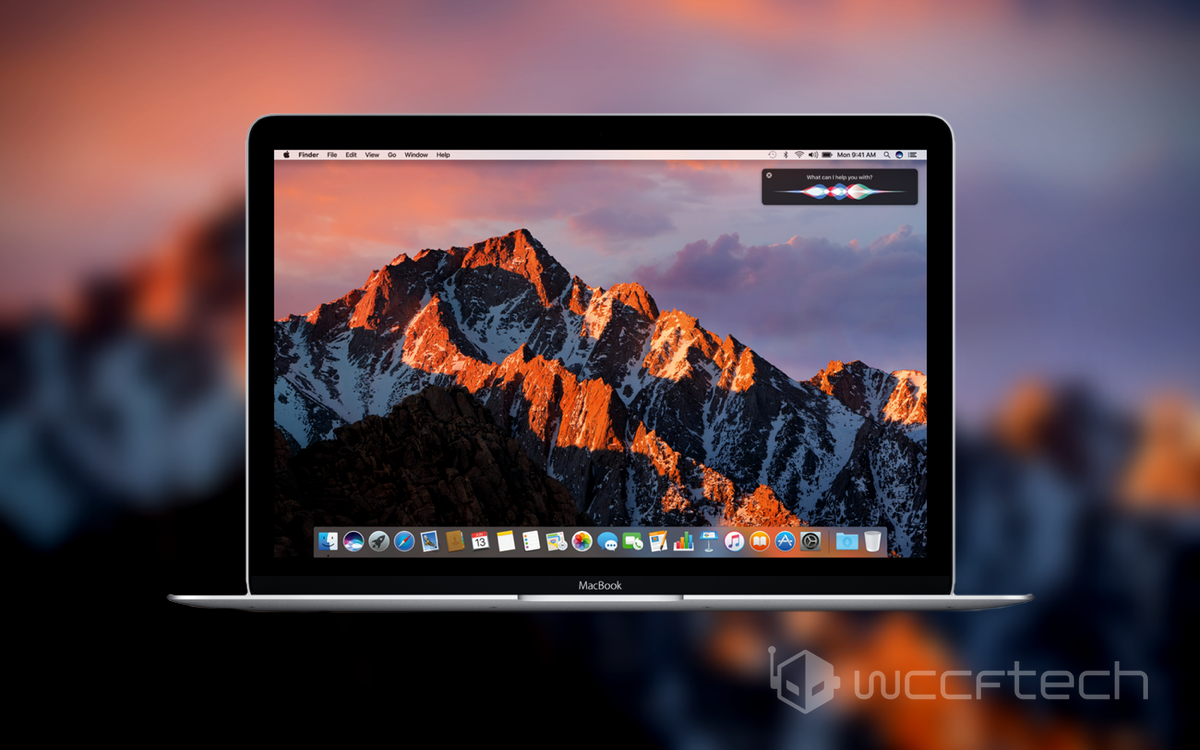 Download photo app for mac